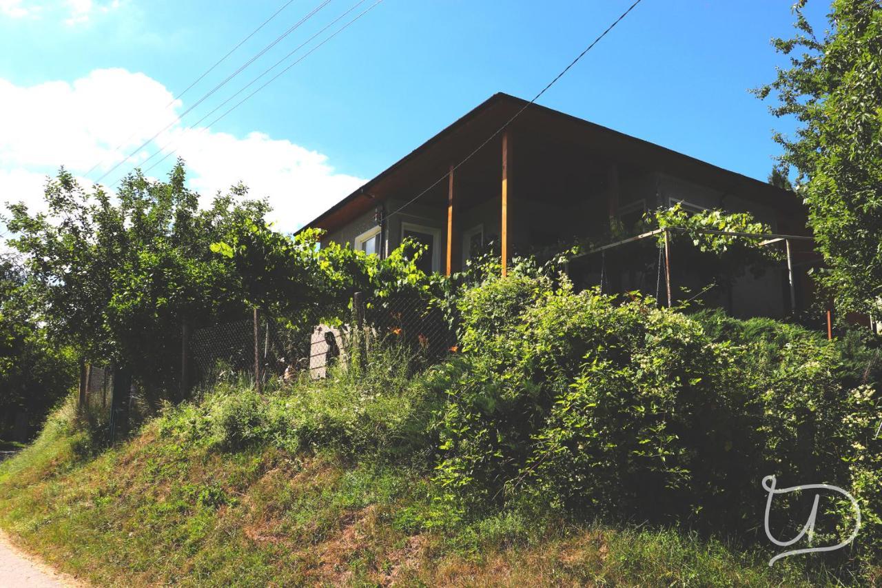 Вила Ирена Radevtsi Exterior foto